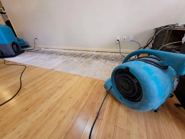Professional Water Damage Repair technician working in Holden, UT